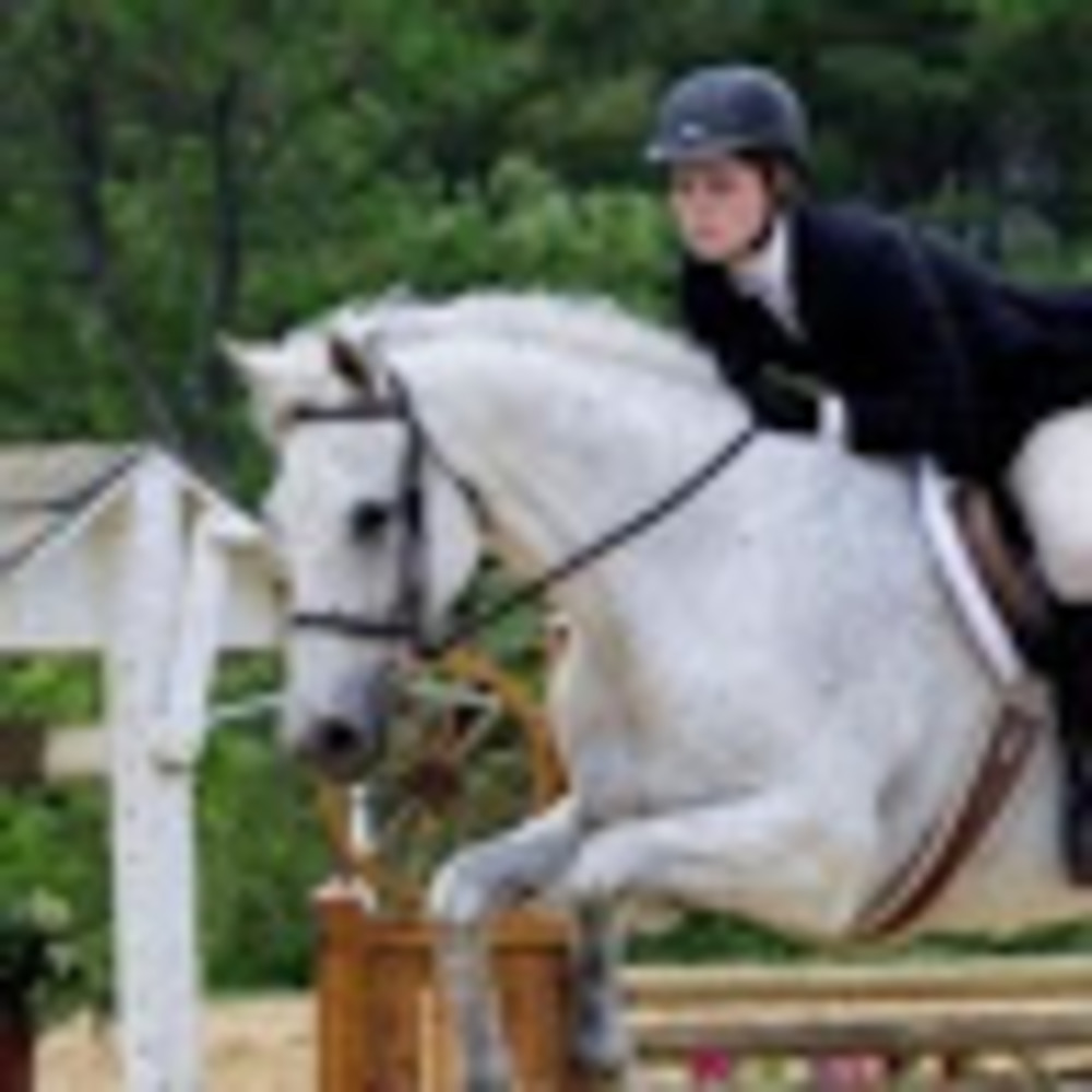 Meet your Posher, Ernie